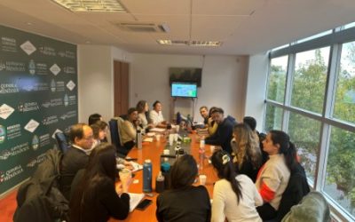 Reuniones Plataforma Jovenes Digitales